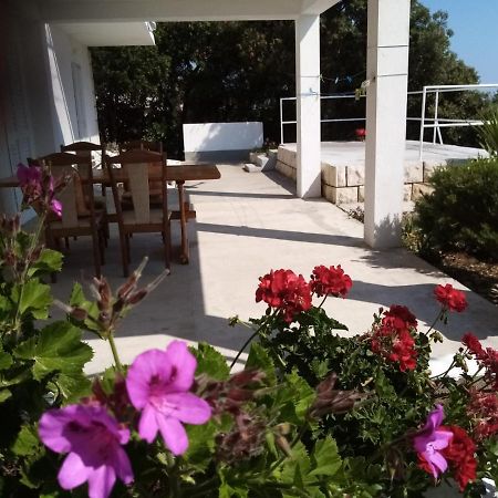 Apartman Laus Zavalatica Zewnętrze zdjęcie